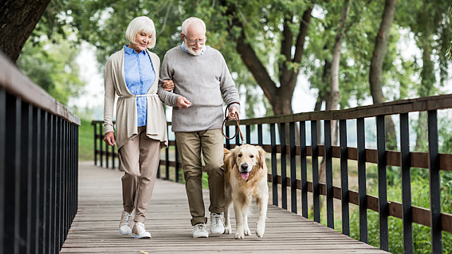 Casal de idosos passeando com um cachorro em uma ponte